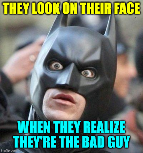 Shocked Batman | THEY LOOK ON THEIR FACE WHEN THEY REALIZE THEY'RE THE BAD GUY | image tagged in shocked batman | made w/ Imgflip meme maker