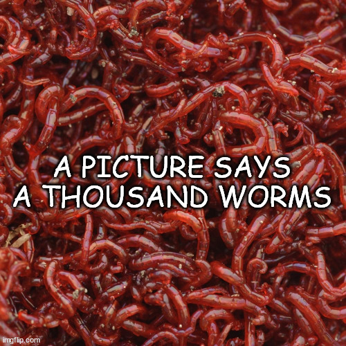 Maybe 900 Tops | A PICTURE SAYS A THOUSAND WORMS | image tagged in can of worms,more worms | made w/ Imgflip meme maker