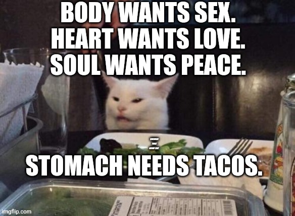 Smudge that darn cat | BODY WANTS SEX. HEART WANTS LOVE. SOUL WANTS PEACE. STOMACH NEEDS TACOS. | image tagged in smudge that darn cat | made w/ Imgflip meme maker