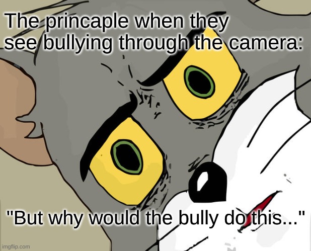 Does anyone feel this way? | The princaple when they see bullying through the camera:; "But why would the bully do this..." | image tagged in memes,unsettled tom | made w/ Imgflip meme maker