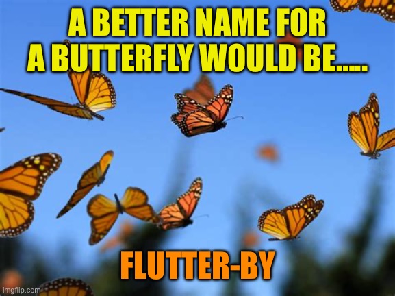 “Flutter-by” | A BETTER NAME FOR A BUTTERFLY WOULD BE….. FLUTTER-BY | image tagged in gifs,fun,butterfly,is this butterfly,curious | made w/ Imgflip meme maker