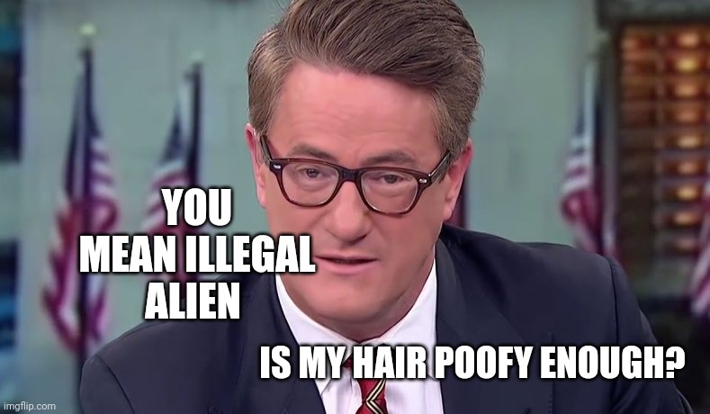 Morning Joe | IS MY HAIR POOFY ENOUGH? YOU MEAN ILLEGAL ALIEN | image tagged in morning joe | made w/ Imgflip meme maker