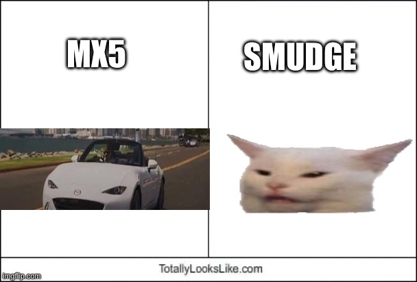 The Mazda Smudge | MX5; SMUDGE | image tagged in totally looks like,mazda,smudge,smudge the cat,mx5 | made w/ Imgflip meme maker