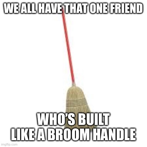 Lanky af | WE ALL HAVE THAT ONE FRIEND; WHO’S BUILT LIKE A BROOM HANDLE | image tagged in broom,memes,skinny,friends | made w/ Imgflip meme maker