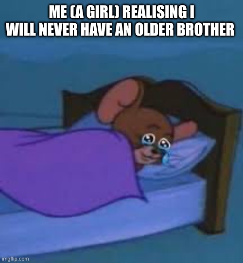 Older brother wish | ME (A GIRL) REALISING I WILL NEVER HAVE AN OLDER BROTHER | image tagged in funny,sad,sad but true | made w/ Imgflip meme maker