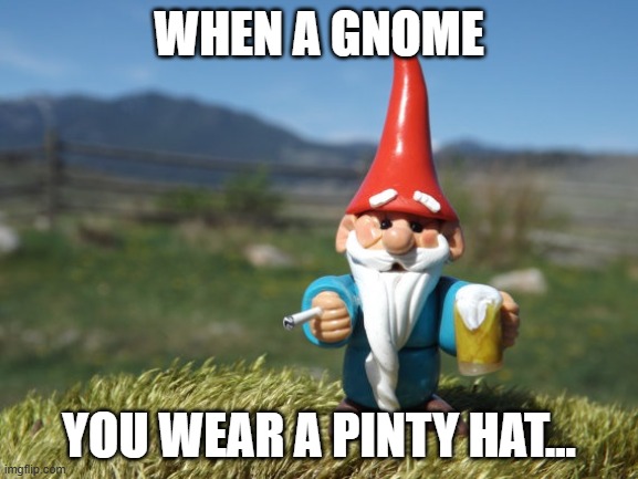 As they say "When a Gnome" | WHEN A GNOME; YOU WEAR A PINTY HAT... | image tagged in advice gnome,hat | made w/ Imgflip meme maker