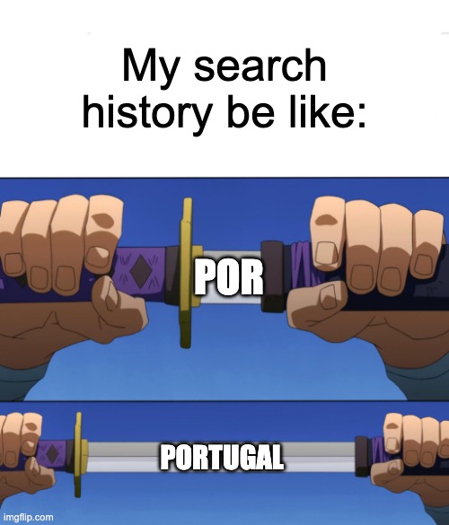 what were you thinking? | My search history be like:; POR; PORTUGAL | image tagged in unsheathing sword,memes,search history,portugal | made w/ Imgflip meme maker