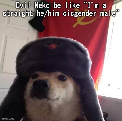 Evil_Neko temp | Evil Neko be like "I'm a straight he/him cisgender male" | image tagged in evil_neko temp | made w/ Imgflip meme maker