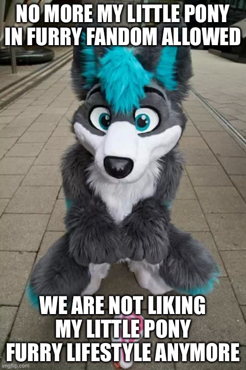 Furry hates on my little pony | NO MORE MY LITTLE PONY IN FURRY FANDOM ALLOWED; WE ARE NOT LIKING MY LITTLE PONY FURRY LIFESTYLE ANYMORE | image tagged in furry | made w/ Imgflip meme maker