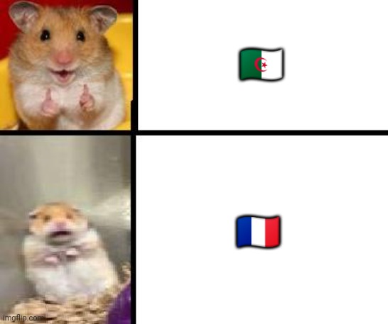 I hâte France | 🇩🇿; 🇨🇵 | image tagged in hamster happy and hamster scary | made w/ Imgflip meme maker