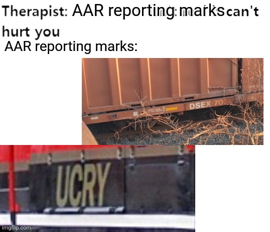 My Therapist | AAR reporting marks; AAR reporting marks: | image tagged in my therapist,train,foamer,railfan,pun | made w/ Imgflip meme maker