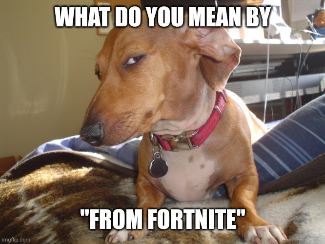 Suspicious Dog | WHAT DO YOU MEAN BY "FROM FORTNITE" | image tagged in suspicious dog | made w/ Imgflip meme maker