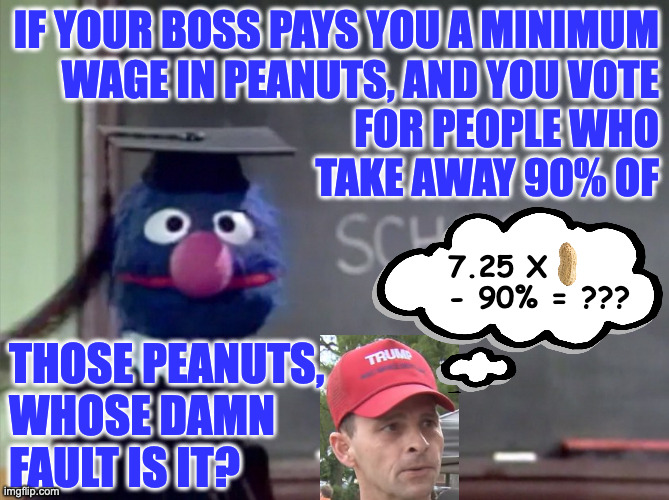 Grover | IF YOUR BOSS PAYS YOU A MINIMUM
WAGE IN PEANUTS, AND YOU VOTE
FOR PEOPLE WHO
TAKE AWAY 90% OF THOSE PEANUTS,
WHOSE DAMN
FAULT IS IT? 7.25 X
 | image tagged in grover | made w/ Imgflip meme maker