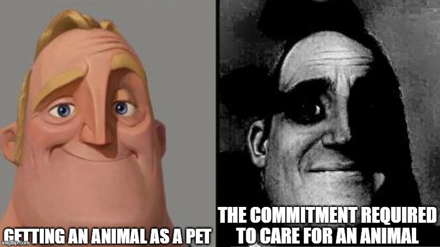 People often do not understand how much it takes to care for pets. | GETTING AN ANIMAL AS A PET; THE COMMITMENT REQUIRED TO CARE FOR AN ANIMAL | image tagged in traumatized mr incredible | made w/ Imgflip meme maker