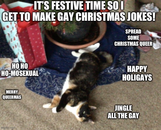 Merry Christmas to the hes shes theys and gays! | IT’S FESTIVE TIME SO I GET TO MAKE GAY CHRISTMAS JOKES! SPREAD SOME CHRISTMAS QUEER; HO HO HO-MOSEXUAL; HAPPY HOLIGAYS; MERRY QUEERMAS; JINGLE ALL THE GAY | image tagged in lgbtq,christmas,jokes,pride,gay,puns | made w/ Imgflip meme maker