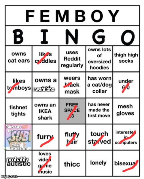 Femboy Bingo | i want one; probably | image tagged in femboy bingo | made w/ Imgflip meme maker