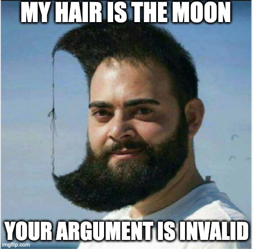 Moon hair guy | MY HAIR IS THE MOON; YOUR ARGUMENT IS INVALID | image tagged in funny | made w/ Imgflip meme maker