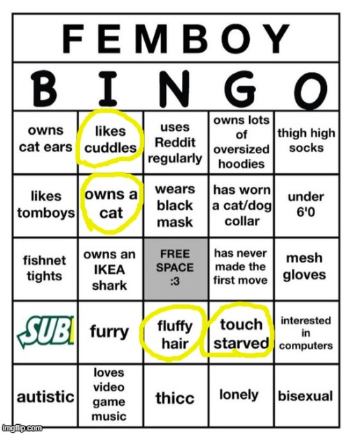 Am I a femboy? | image tagged in femboy bingo | made w/ Imgflip meme maker