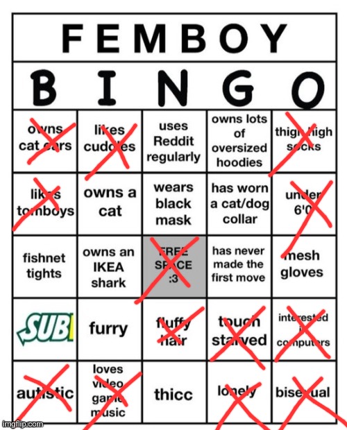 Femboy Bingo | image tagged in femboy bingo | made w/ Imgflip meme maker