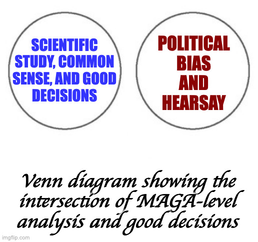 SCIENTIFIC
STUDY, COMMON
SENSE, AND GOOD
DECISIONS POLITICAL
BIAS
AND
HEARSAY Venn diagram showing the
intersection of MAGA-level
analysis a | image tagged in non overlapping venn diagram,blank white template | made w/ Imgflip meme maker