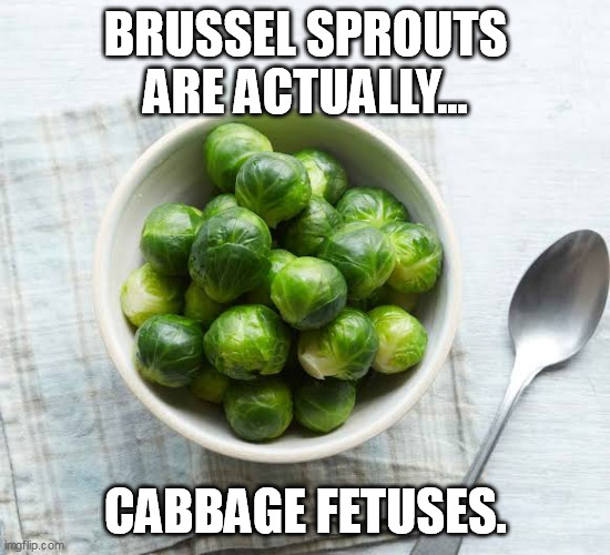 Why I don't eat brussel sprouts | BRUSSEL SPROUTS ARE ACTUALLY... CABBAGE FETUSES. | image tagged in brussel sprout in bowl | made w/ Imgflip meme maker