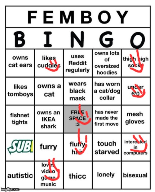 Femboy Bingo | image tagged in femboy bingo | made w/ Imgflip meme maker