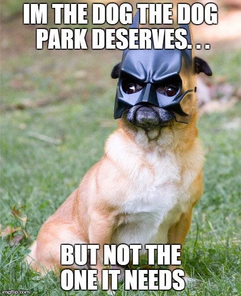 Batman Pug | IM THE DOG THE DOG PARK DESERVES. . . BUT NOT THE ONE IT NEEDS | image tagged in batman pug | made w/ Imgflip meme maker
