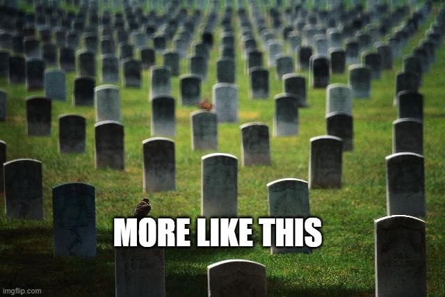 graveyard cemetary | MORE LIKE THIS | image tagged in graveyard cemetary | made w/ Imgflip meme maker