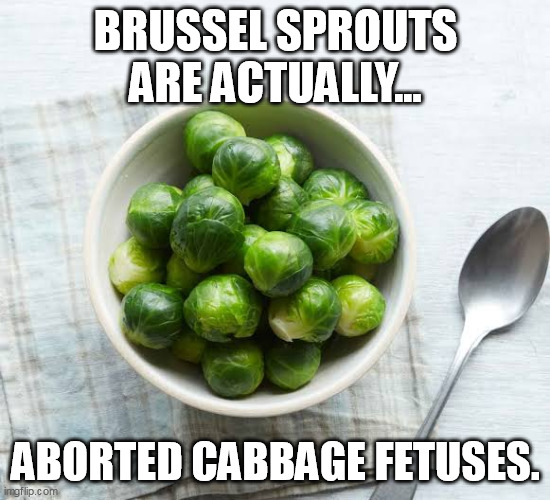 aborted cabbage | BRUSSEL SPROUTS ARE ACTUALLY... ABORTED CABBAGE FETUSES. | image tagged in brussel sprout in bowl | made w/ Imgflip meme maker