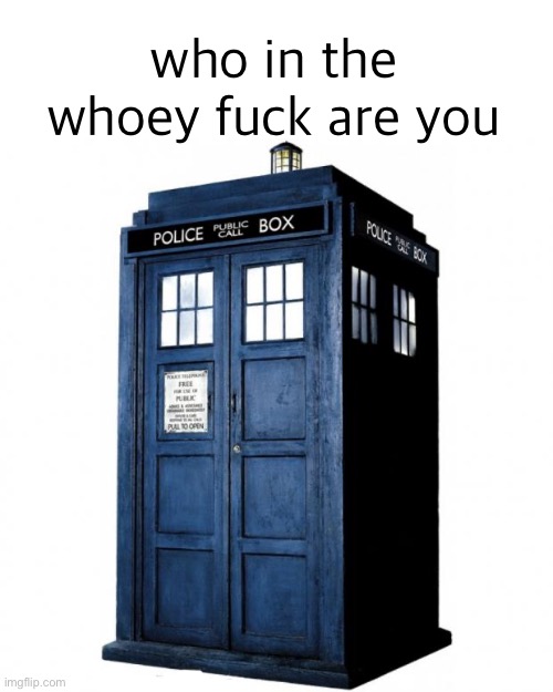 Tardis | who in the whoey fuck are you | image tagged in tardis | made w/ Imgflip meme maker