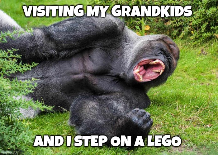 Gorilla memes | VISITING MY GRANDKIDS; AND I STEP ON A LEGO | image tagged in legos | made w/ Imgflip meme maker