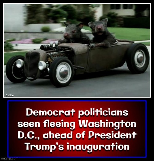 Treasonous vermin jumping a burning ship | image tagged in democrats,government corruption,politics,republicans,trump inauguration | made w/ Imgflip meme maker