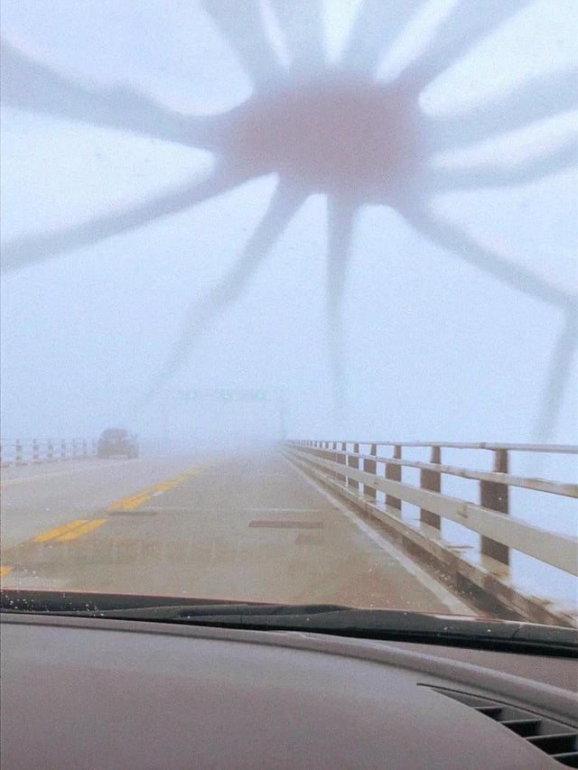 Web Kraken Blank Meme Template