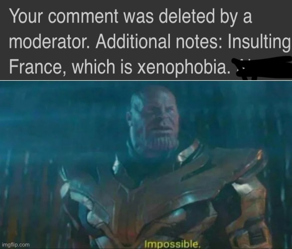 This mf be deleting any comment he can. We must make fun of Fr*nce in peace | image tagged in thanos impossible | made w/ Imgflip meme maker