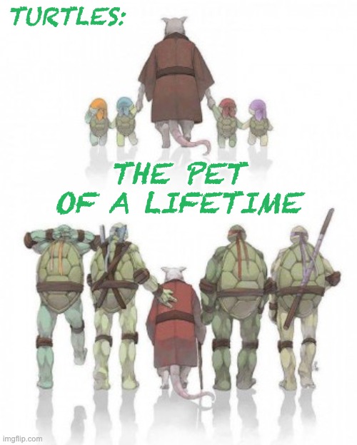 . . . and of course, very heroic | TURTLES:; THE PET
OF A LIFETIME | image tagged in ninja turtles,turtles,reptiles,cute,tv shows | made w/ Imgflip meme maker