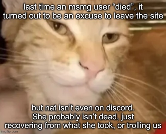 cat mewing | last time an msmg user “died”, it turned out to be an excuse to leave the site; but nat isn’t even on discord. She probably isn’t dead, just recovering from what she took, or trolling us | image tagged in cat mewing | made w/ Imgflip meme maker