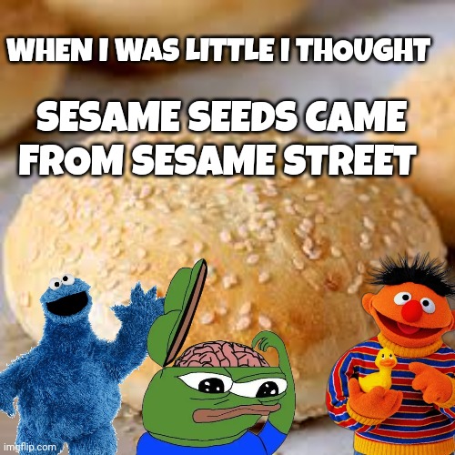 Sesame street meme | WHEN I WAS LITTLE I THOUGHT; SESAME SEEDS CAME FROM SESAME STREET | image tagged in sesame street | made w/ Imgflip meme maker