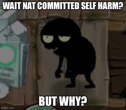 Bro really | WAIT NAT COMMITTED SELF HARM? BUT WHY? | image tagged in bro really | made w/ Imgflip meme maker