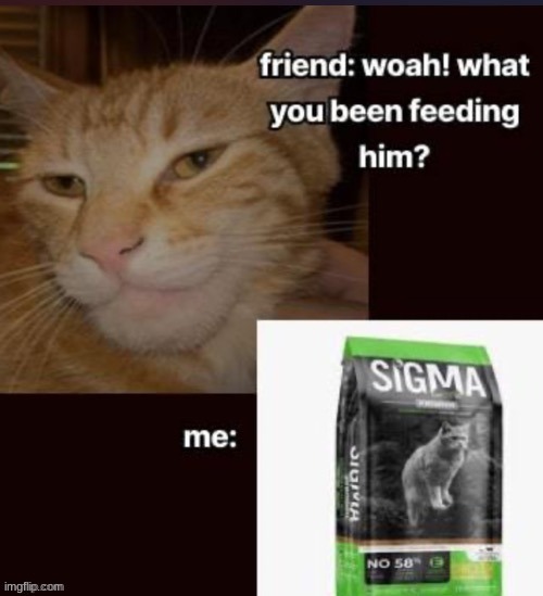 sigma | image tagged in sigma | made w/ Imgflip meme maker