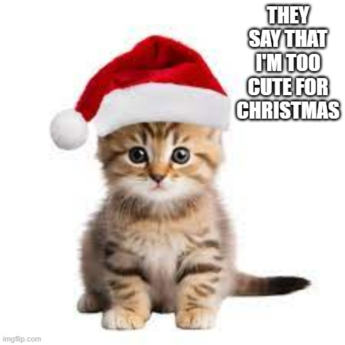 memes by Brad - This kitten is too cute for Christmas - cat - | THEY SAY THAT I'M TOO CUTE FOR CHRISTMAS | image tagged in cats,kitten,cute,christmas,santa claus,merry christmas | made w/ Imgflip meme maker