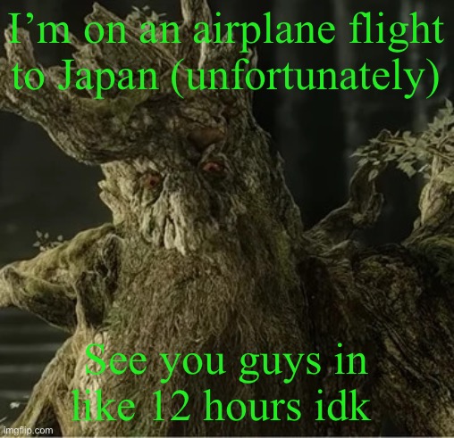 But I’ll go to Taiwan afterwards so it’s cool | I’m on an airplane flight to Japan (unfortunately); See you guys in like 12 hours idk | image tagged in hecate | made w/ Imgflip meme maker