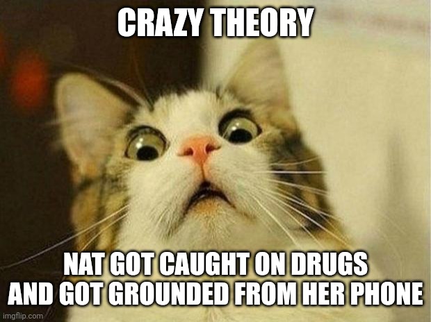 Scared Cat | CRAZY THEORY; NAT GOT CAUGHT ON DRUGS AND GOT GROUNDED FROM HER PHONE | image tagged in memes,scared cat | made w/ Imgflip meme maker