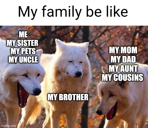 ?️ | My family be like; ME
MY SISTER 
MY PETS
MY UNCLE; MY MOM
MY DAD
MY AUNT
MY COUSINS; MY BROTHER | image tagged in 2/3 wolves laugh | made w/ Imgflip meme maker