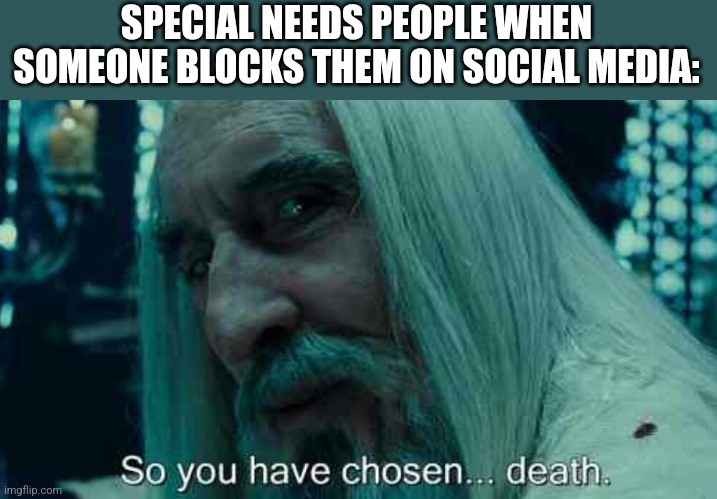 Too far? Whatever. It is kinda true | SPECIAL NEEDS PEOPLE WHEN SOMEONE BLOCKS THEM ON SOCIAL MEDIA: | image tagged in so you have chosen death | made w/ Imgflip meme maker