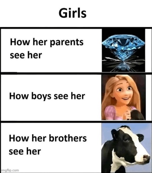 As a brother this is legit | image tagged in sister,ugly,cow | made w/ Imgflip meme maker