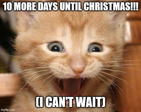 Excited Cat | 10 MORE DAYS UNTIL CHRISTMAS!!! (I CAN'T WAIT) | image tagged in memes,excited cat,funny,merry christmas,christmas,xmas | made w/ Imgflip meme maker