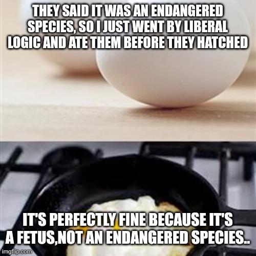 Just following orders | THEY SAID IT WAS AN ENDANGERED SPECIES, SO I JUST WENT BY LIBERAL LOGIC AND ATE THEM BEFORE THEY HATCHED; IT'S PERFECTLY FINE BECAUSE IT'S A FETUS,NOT AN ENDANGERED SPECIES.. | image tagged in brain brain on drugs egg | made w/ Imgflip meme maker