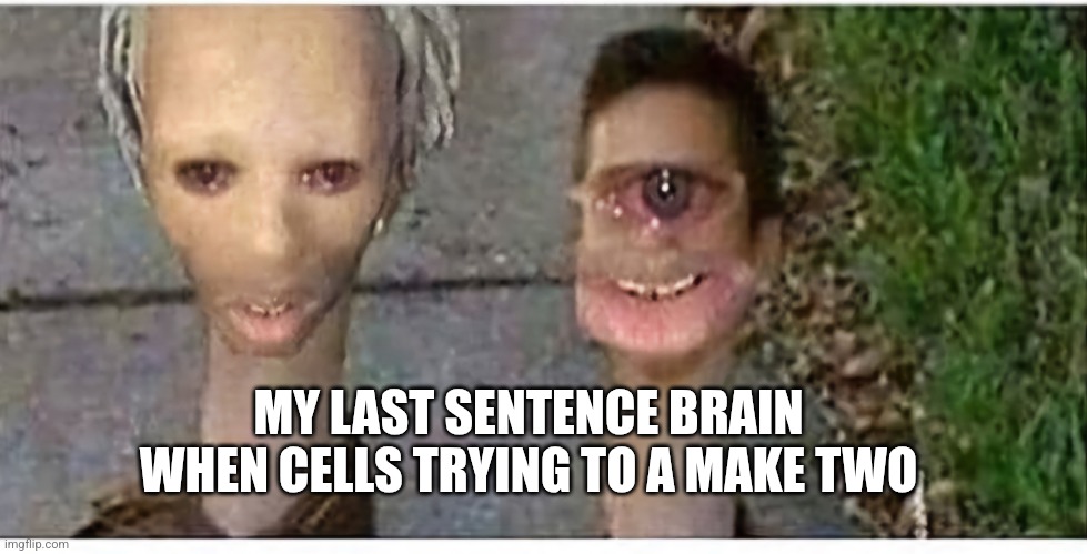 Two head | MY LAST SENTENCE BRAIN WHEN CELLS TRYING TO A MAKE TWO | image tagged in two head | made w/ Imgflip meme maker