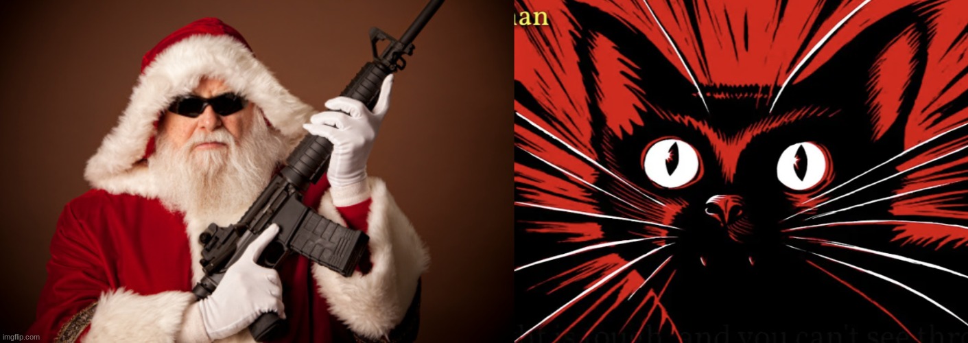 Ari/Dawn is getting publicly executed | image tagged in santa with a gun,sabo tabby | made w/ Imgflip meme maker