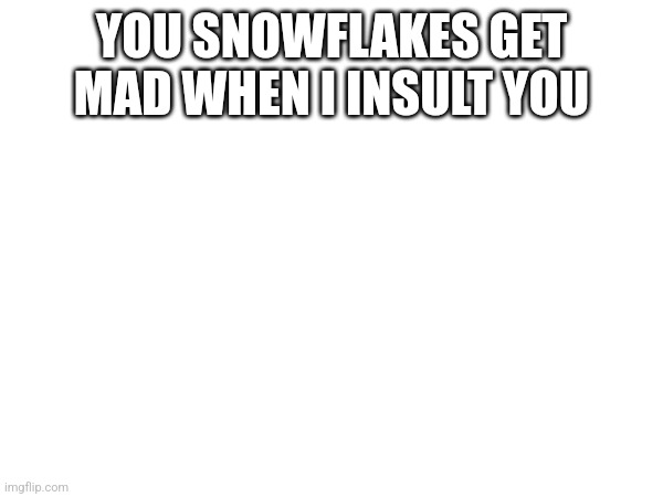 YOU SNOWFLAKES GET MAD WHEN I INSULT YOU | made w/ Imgflip meme maker